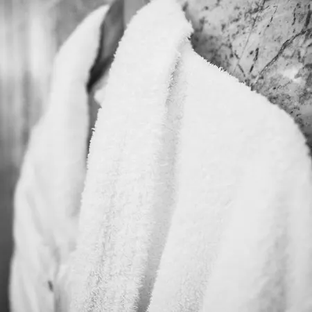 Grand Hôtel&spa Uriage Saint-Martin-dʼUriage